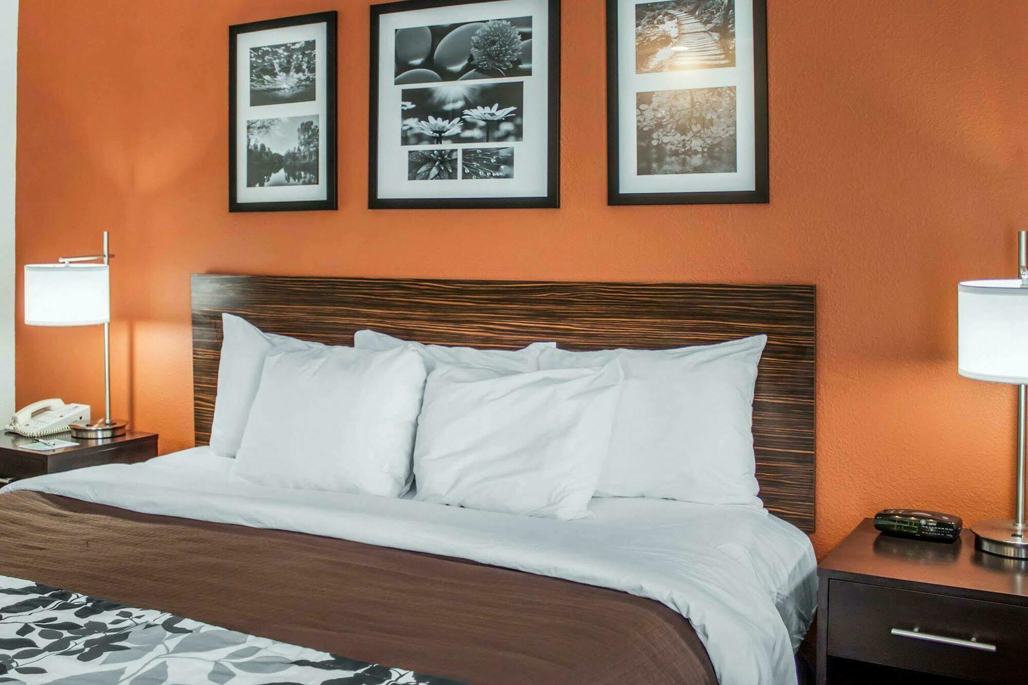Sleep Inn North Charleston Ashley Phosphate Εξωτερικό φωτογραφία